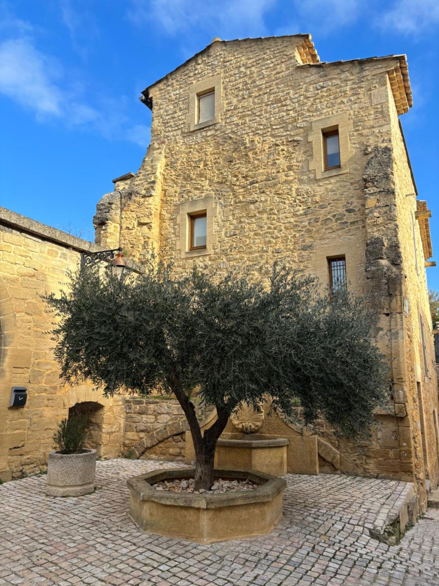 Vila Le Vieux Fournil Castillon-du-Gard Exteriér fotografie